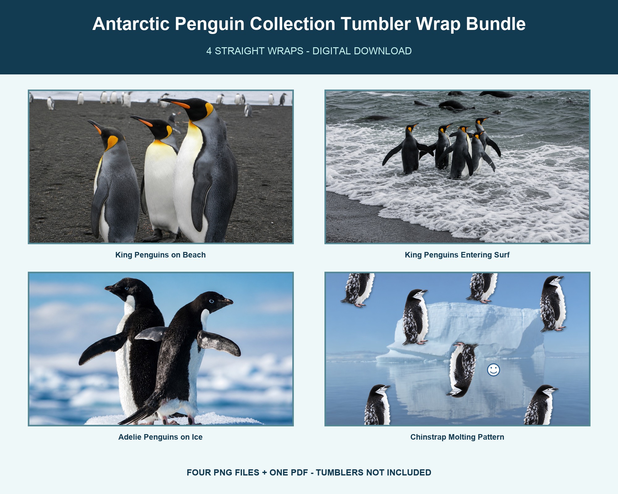 Antarctic tumbler-wrap designs sold on Etsy