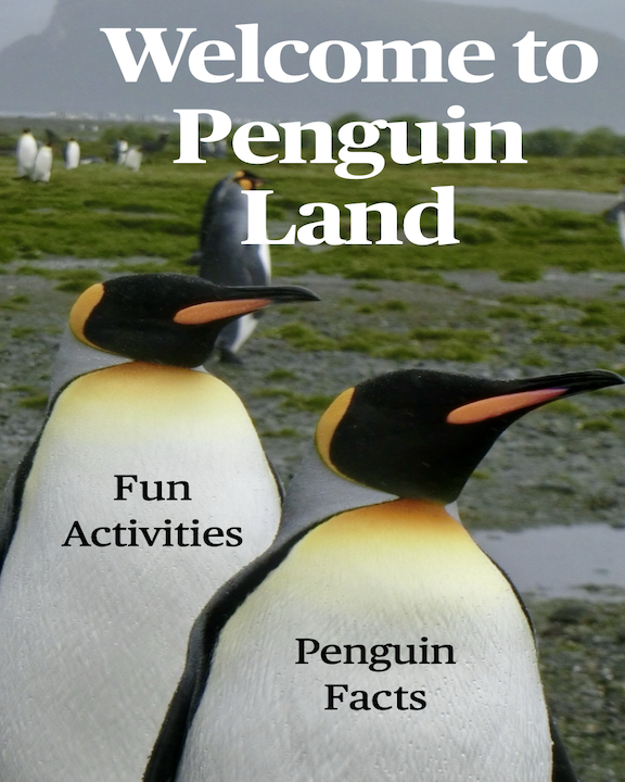 Welcome to Penguin Land book cover
